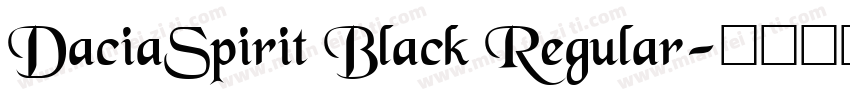 DaciaSpirit Black Regular字体转换